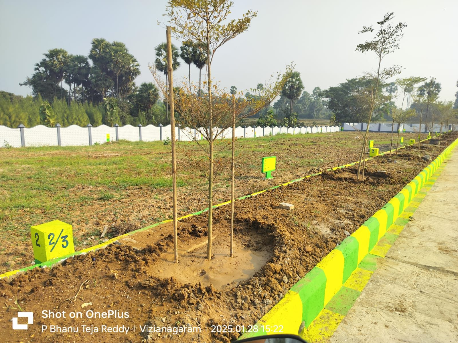 MLA Township Bhogapuram — avenue plantation
