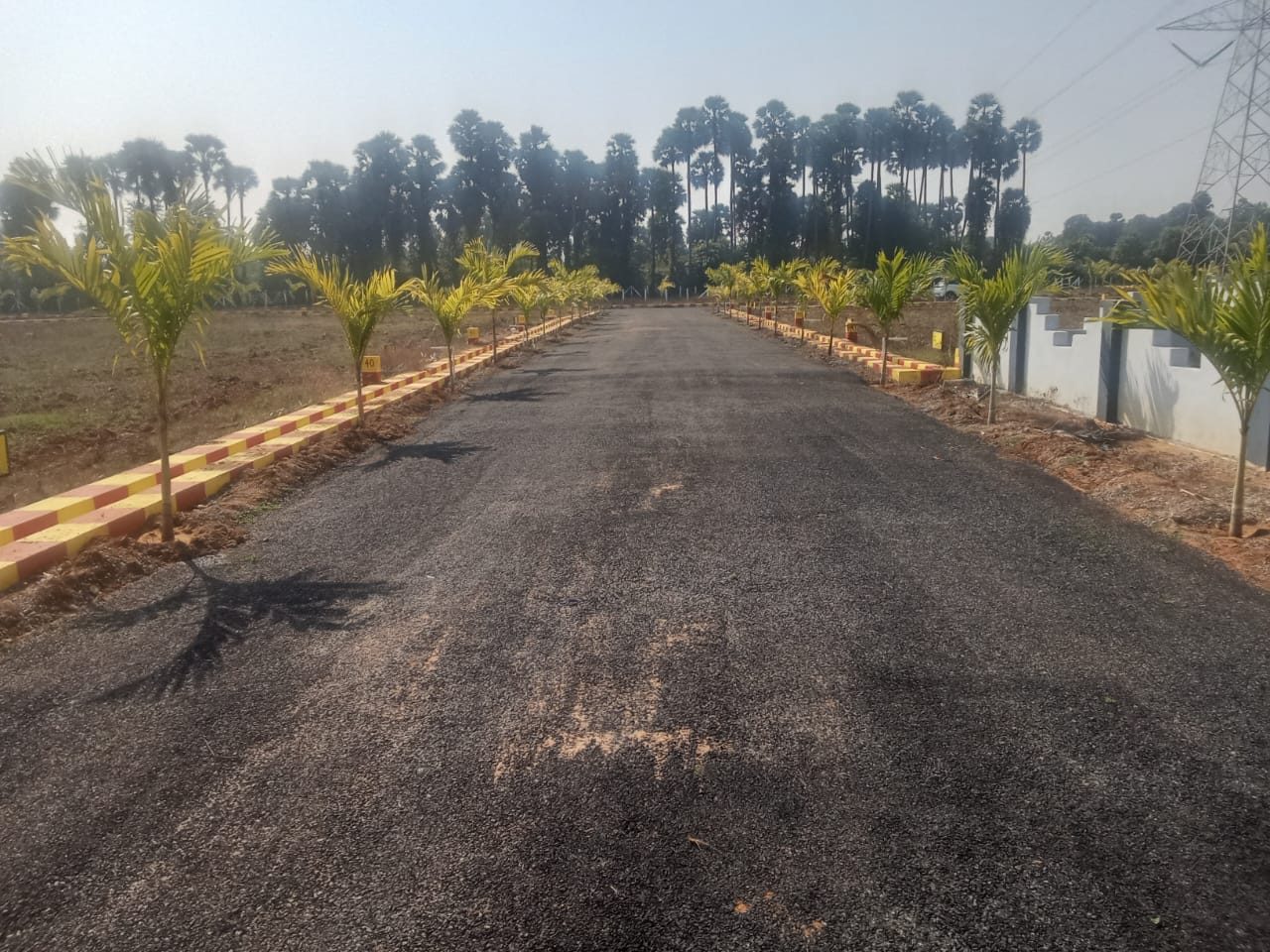 MLA Township Kottavalasa — avenue plantation