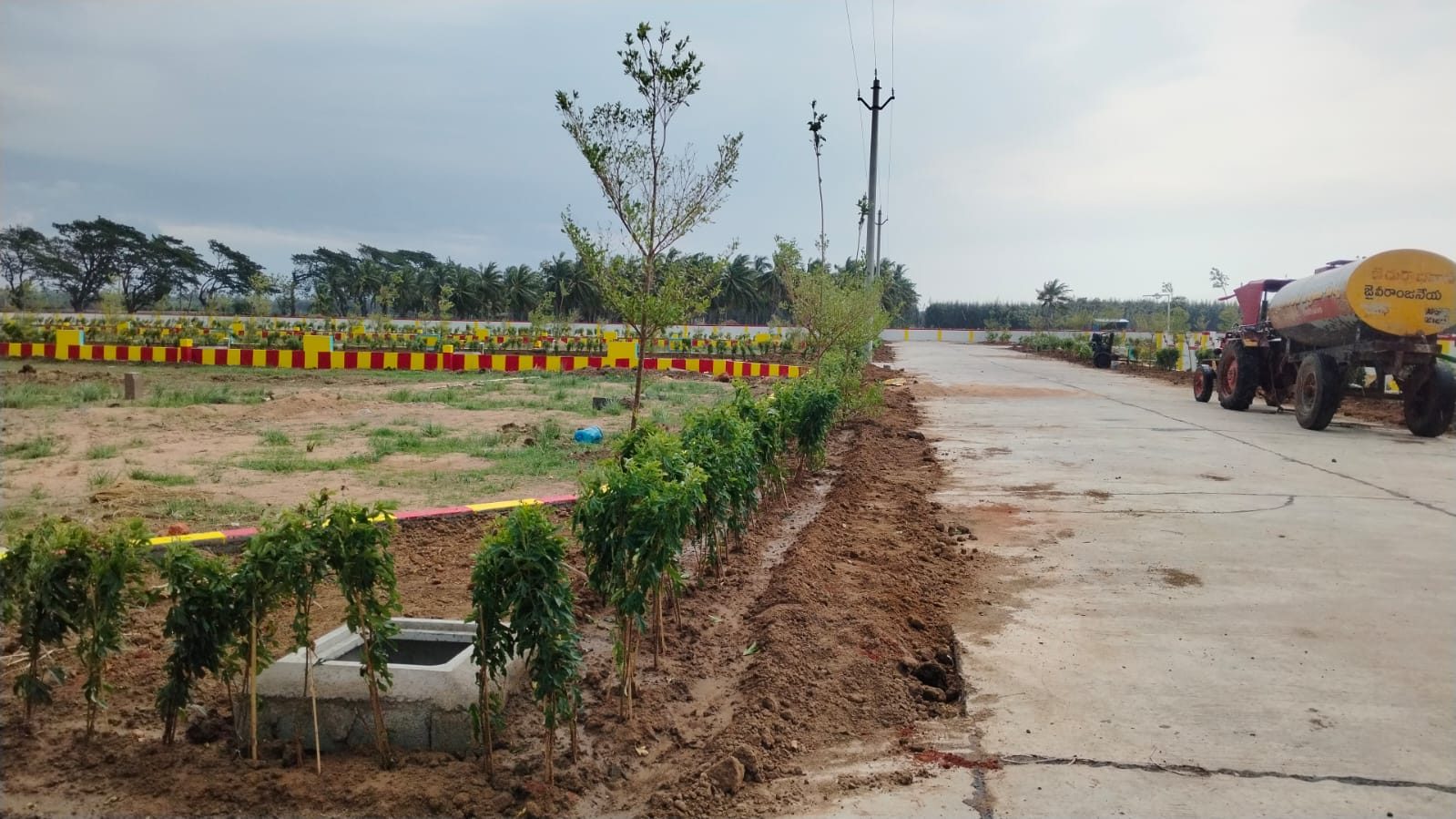 MLA Township Nadipalli — plot demarcation and greenery
