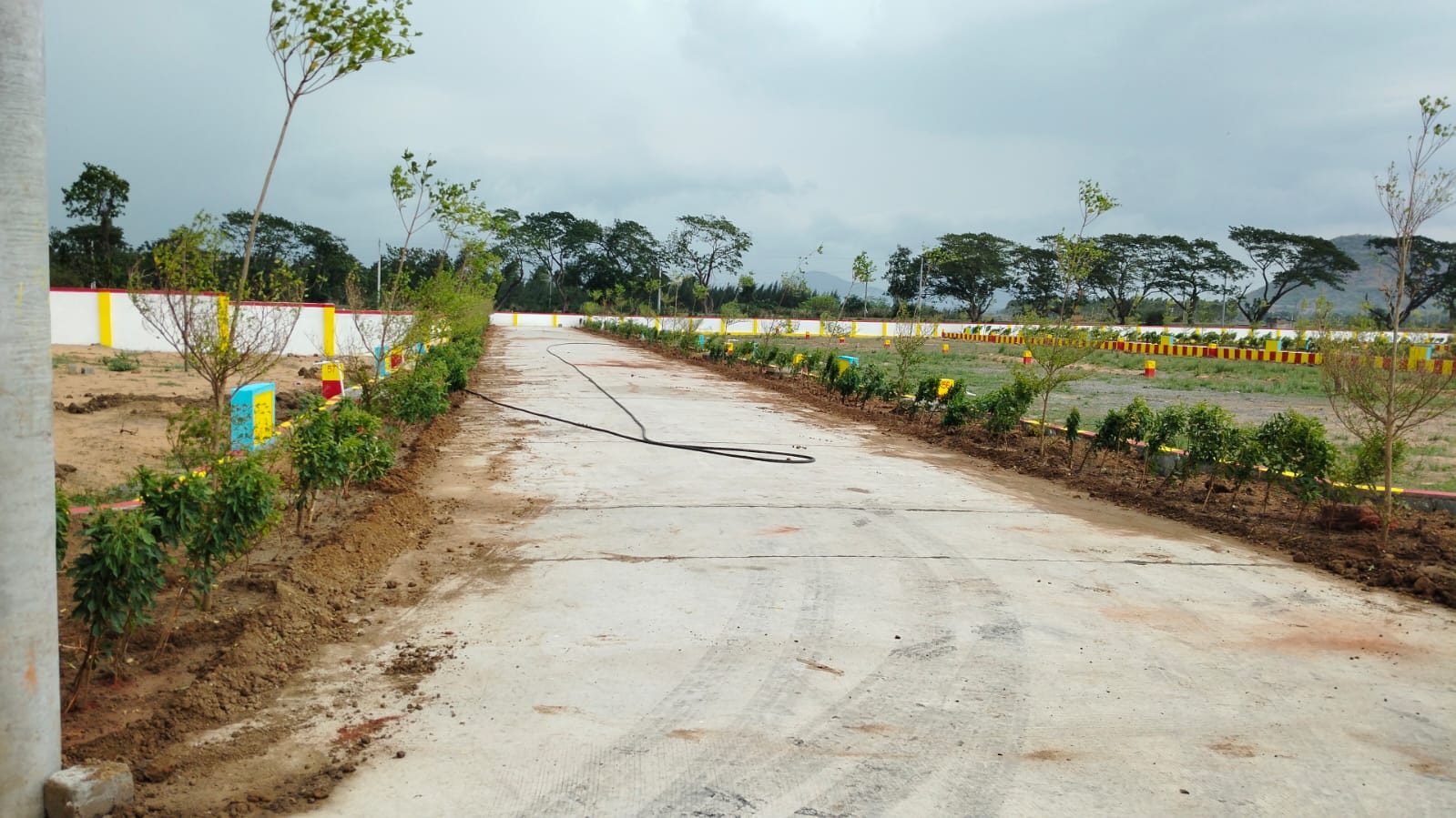 MLA Township Nadipalli — avenue plantation